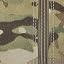 Multicam