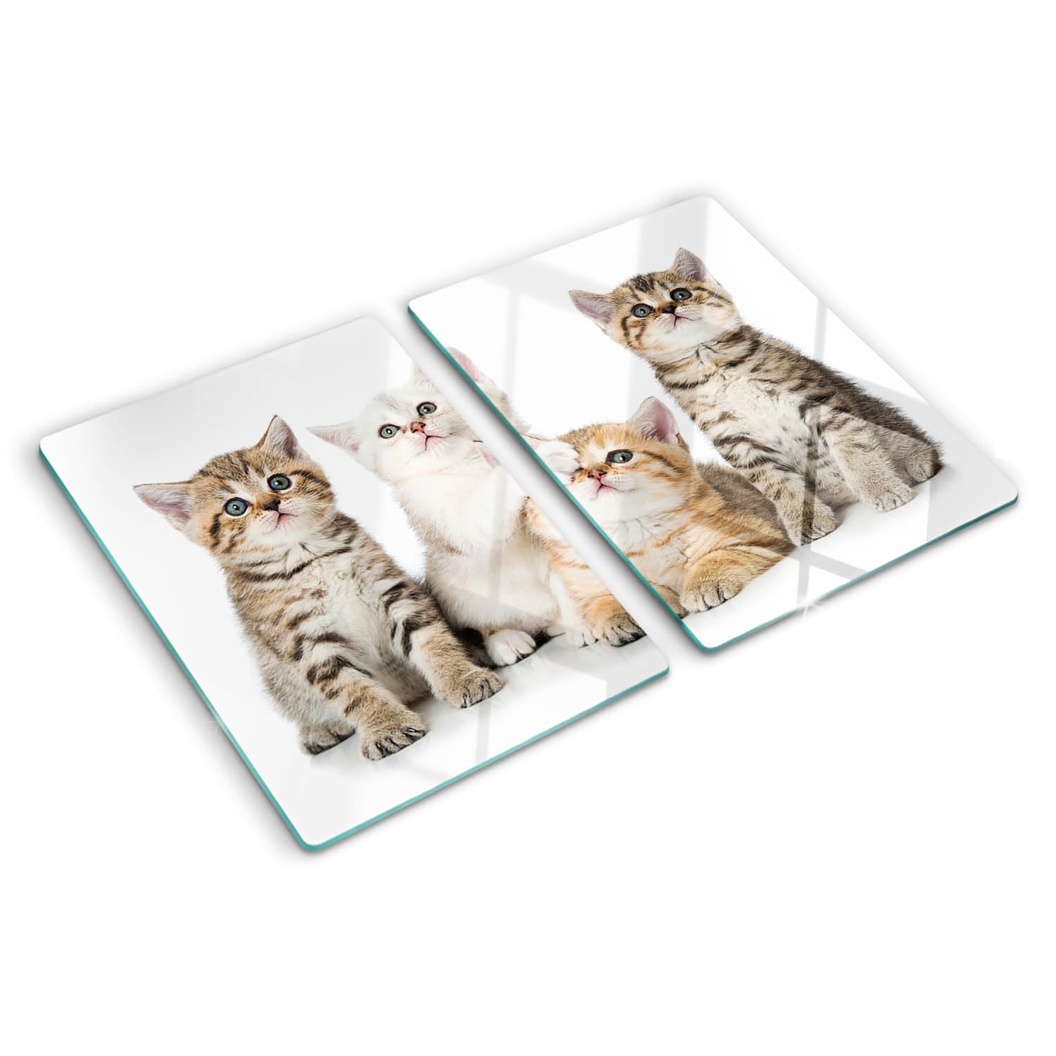 Planche à découper chats 2x40x52 cm en verre bords polis