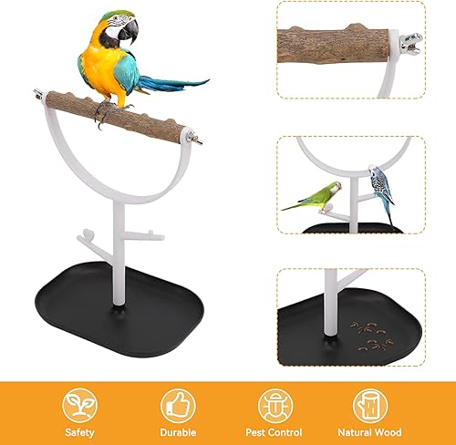 Miniatura 4 de Soporte para loros soporte portátil para pájaros de escritorio soporte de entrenamiento para pericos cacatúas amantos