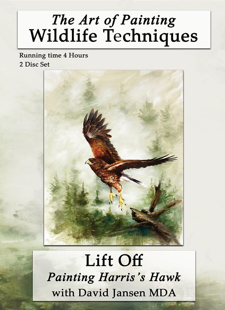 Jansen Art Studio Lift Off: Painting Harris's Hawk