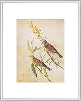 Vista 36 de Juego de 4 marcos de fotos de 4 x 4 pulgadas, color negro mate, diseño simple y moderno, de aluminio cepillado delgado, cuadrado, para fotos de 3 x