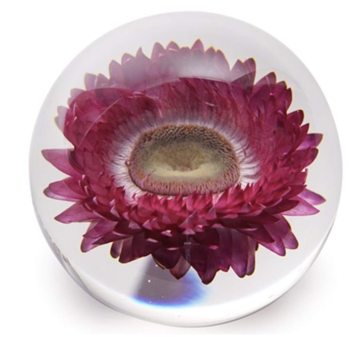 daum.花形の青緑グラデーションペーパーウェイト daum.花形の青緑グラデーションペーパーウェイト