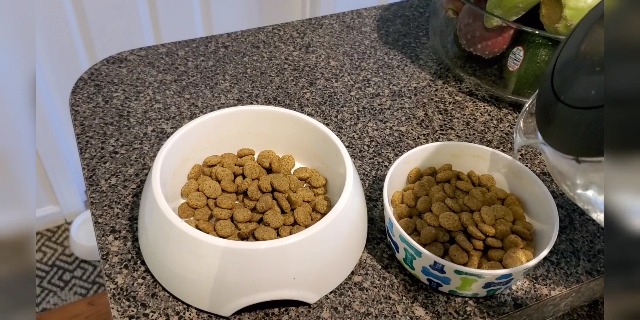 8yrs later...see what I & my spoiled seniors think... on Amazon Live