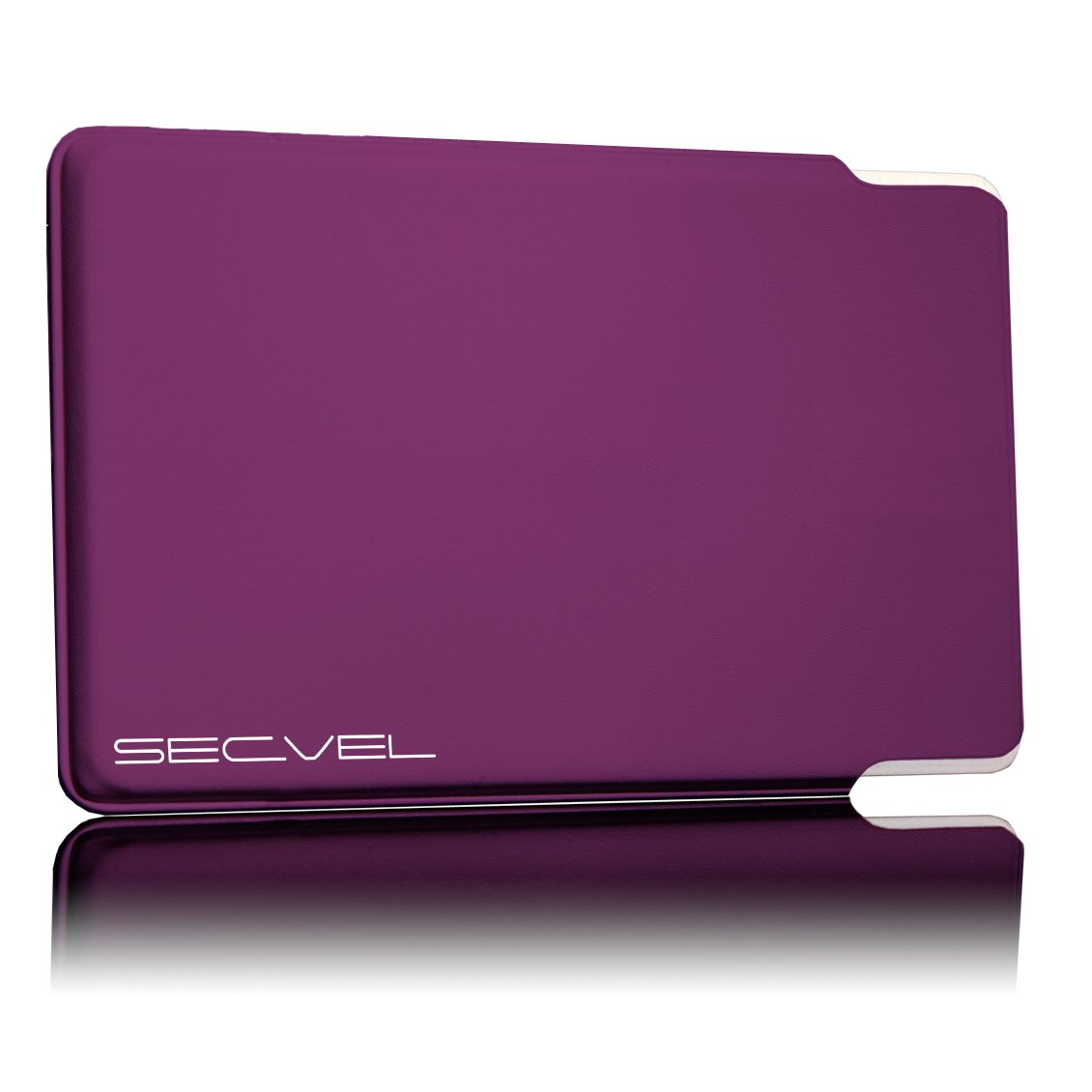 RFID Schutzhülle Für 4 Karten – 100% Geprüft Gegen Datendiebstahl | Für Kreditkarten, EC Karten, Ausweis | Bordo