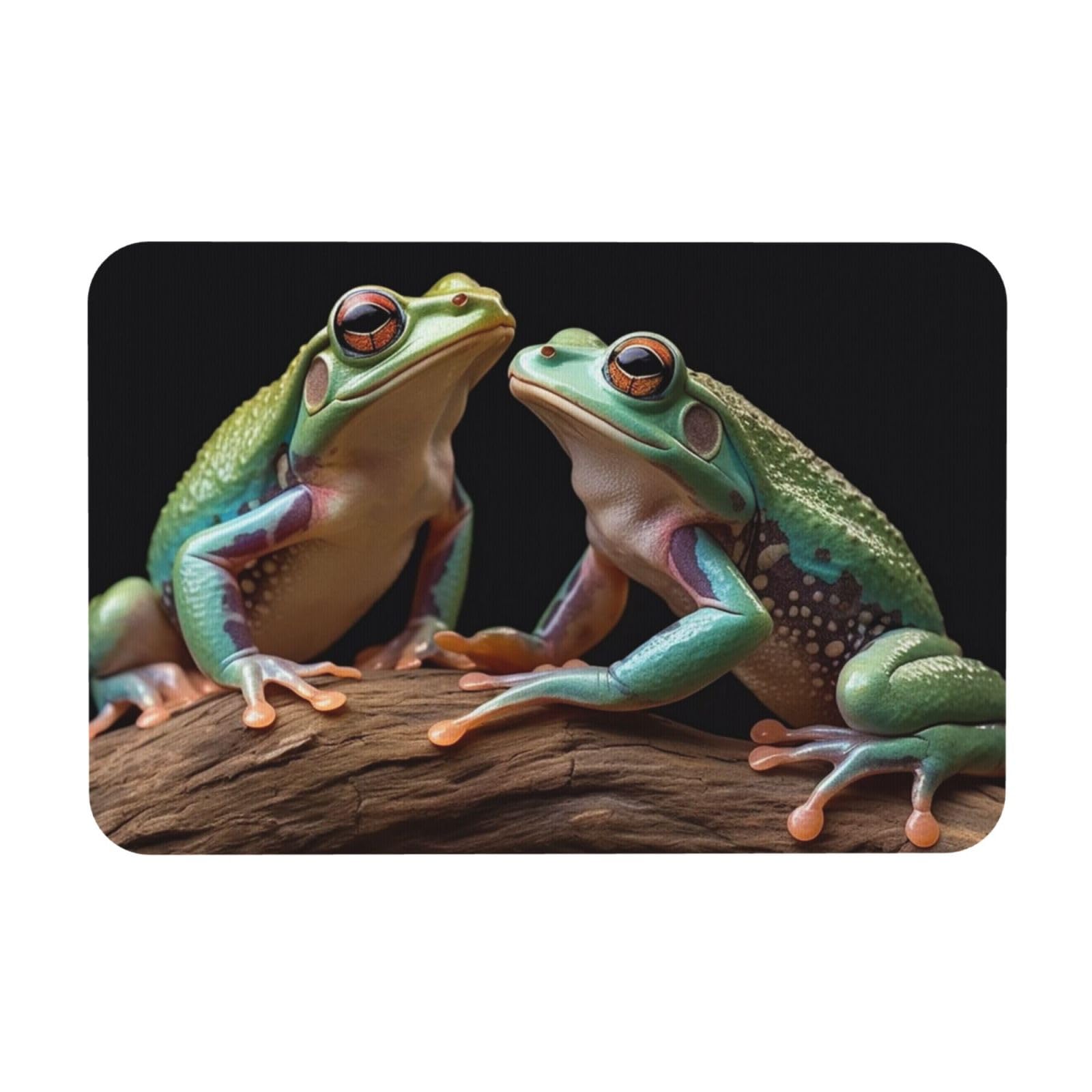 Tapis de bain en pierre de diatomée haut de gamme motif grenouilles