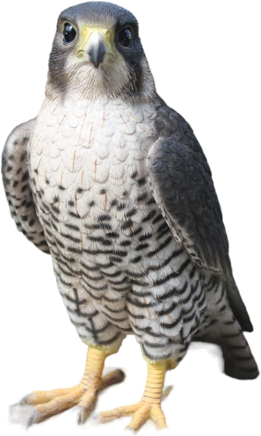 Vivid Arts XRL-PFAL-B Peregrine Falcon Resin Ornament