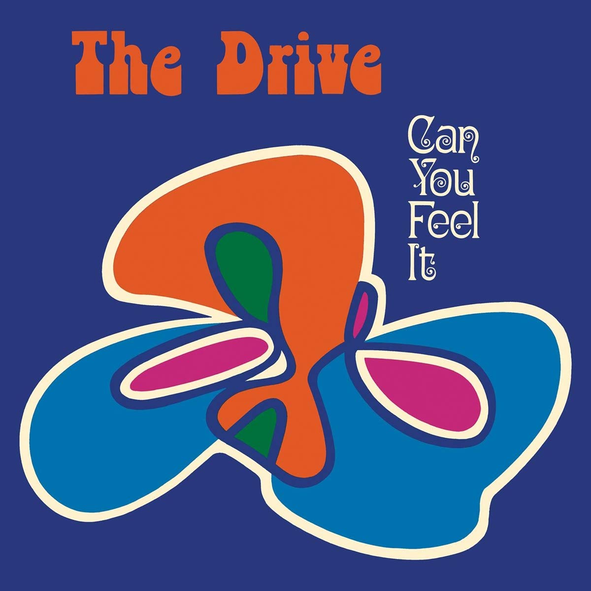 Can You Feel It? (LP) [VINYL]