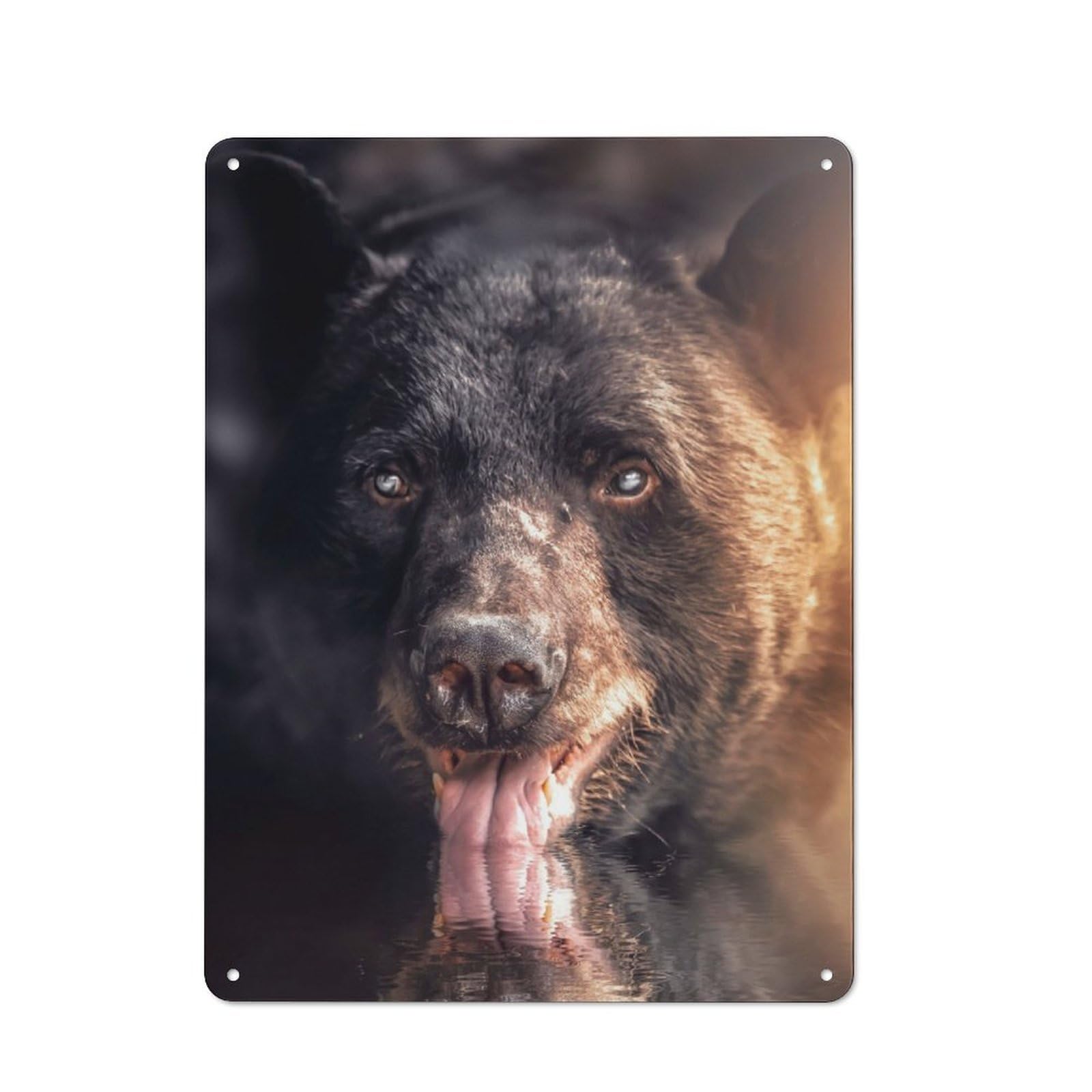 Rustic Tin Wall Sign 40x30cm Featuring Drinking Bear, Bistro Wall Plaque for Restaurant, Kitchen, Counter Or Breakfast Nook
