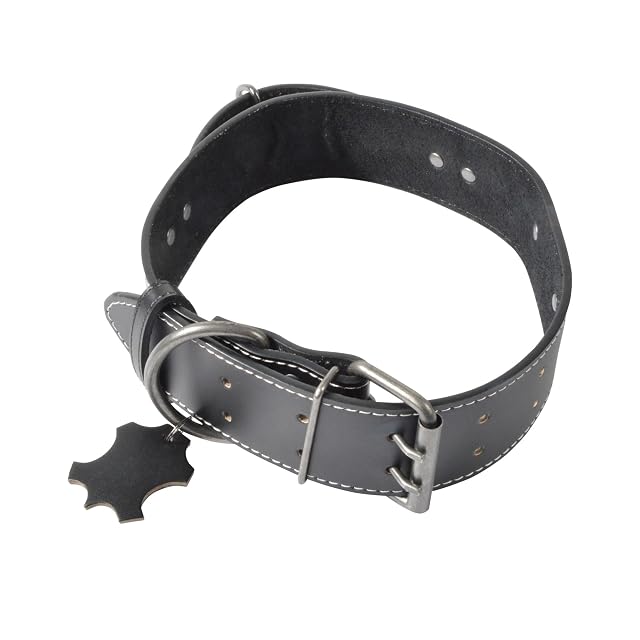 Love Story, Collar con asa Especial para Perro Grande, Piel, Talla 3XL, 80 x 5 cm, Color Negro