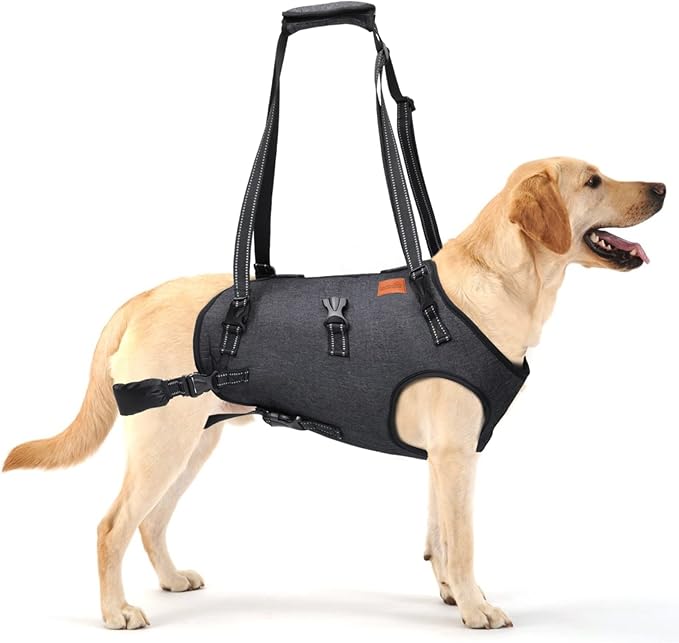 LOOBANI Dog Lift Harness Full Body Support, Sturdy Dog