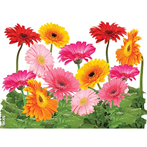Tervis Plastic Gerbera Daisies Tumbler With Wrap And Fuchsia Lid 24Oz, Clear,16 Fluid Ounces #TOP1