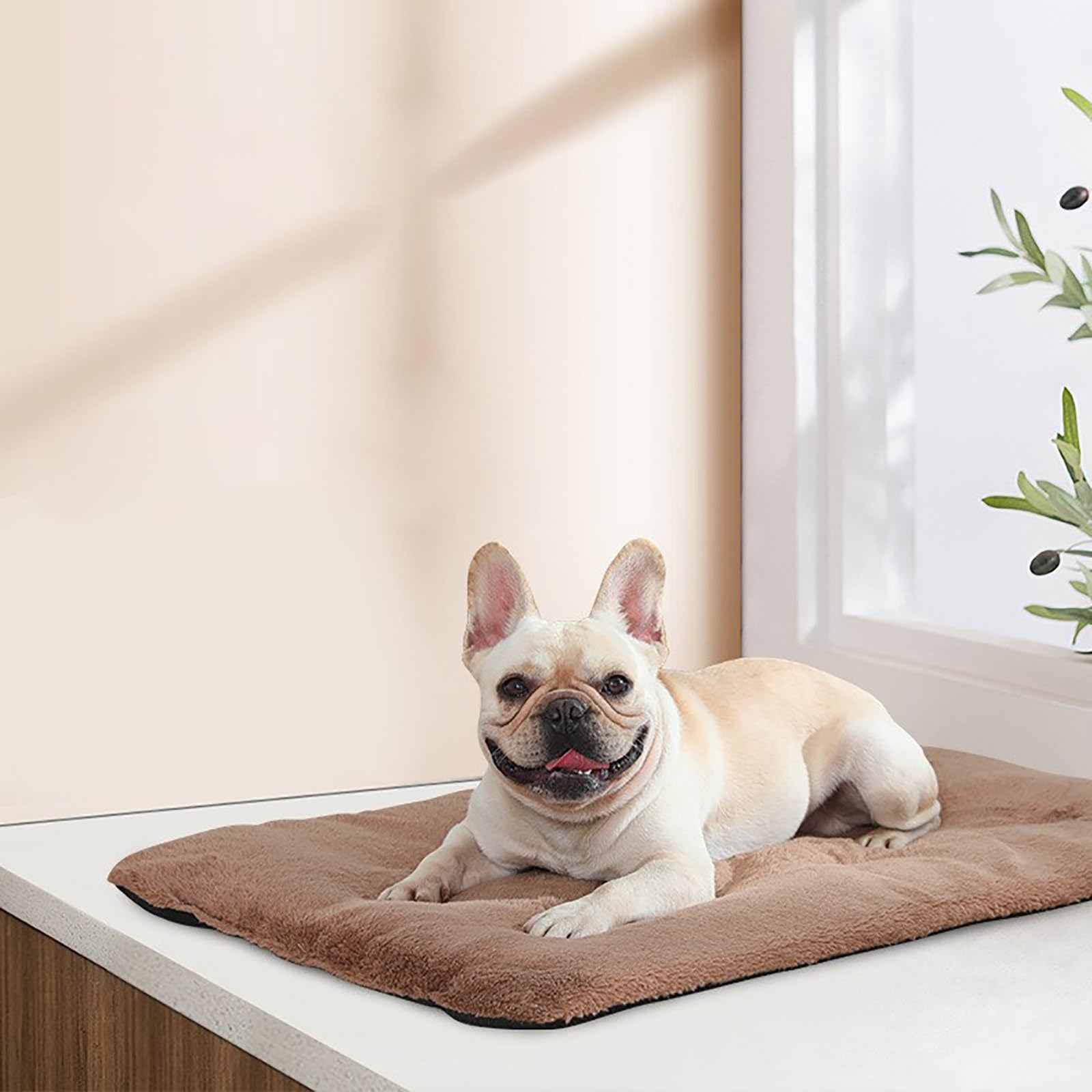 Tapis Auto Chauffant Chat, Tapis Chauffant pour Animaux de Compagnie, sans Électricité, Doux et Confortable, pour Usage Intérieur et Extérieur(Gray,Medium)