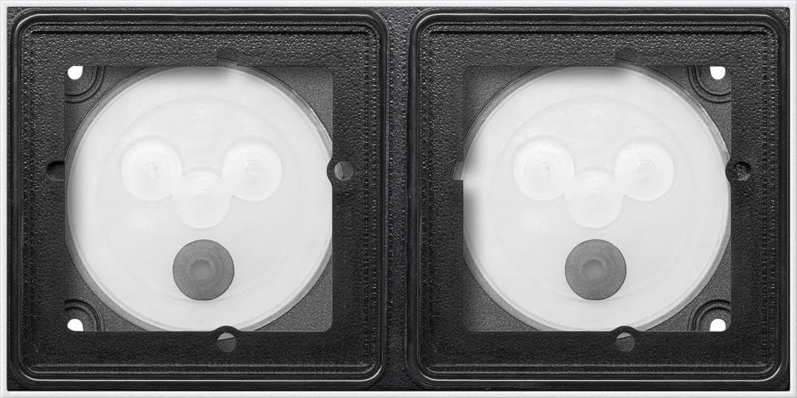 Boitier AP 2 modules Gira 5502910 châssis compact résistant aux intempéries