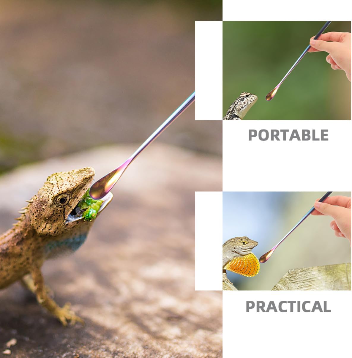 BESPORTBLE 3pcs Reptile Care Small Pet Feeding Spoon Stainless Steel Lizard Food Scoop Comfortable Handling