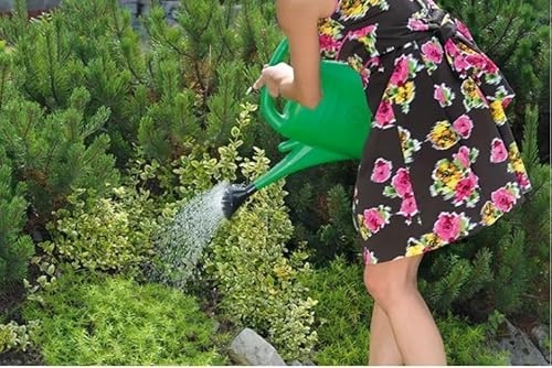 B2C Lightweight Plastic Watering Can Garden Plants Indoor Outdoor Rose Head Sprinkler 3 5 8 10 14 Litre (3 Litres) 4 B2C Lightweight Plastic Watering Can Garden Plants Indoor Outdoor Rose Head Sprinkler 3 5 8 10 14 Litre (3 Litres) - Image 4
