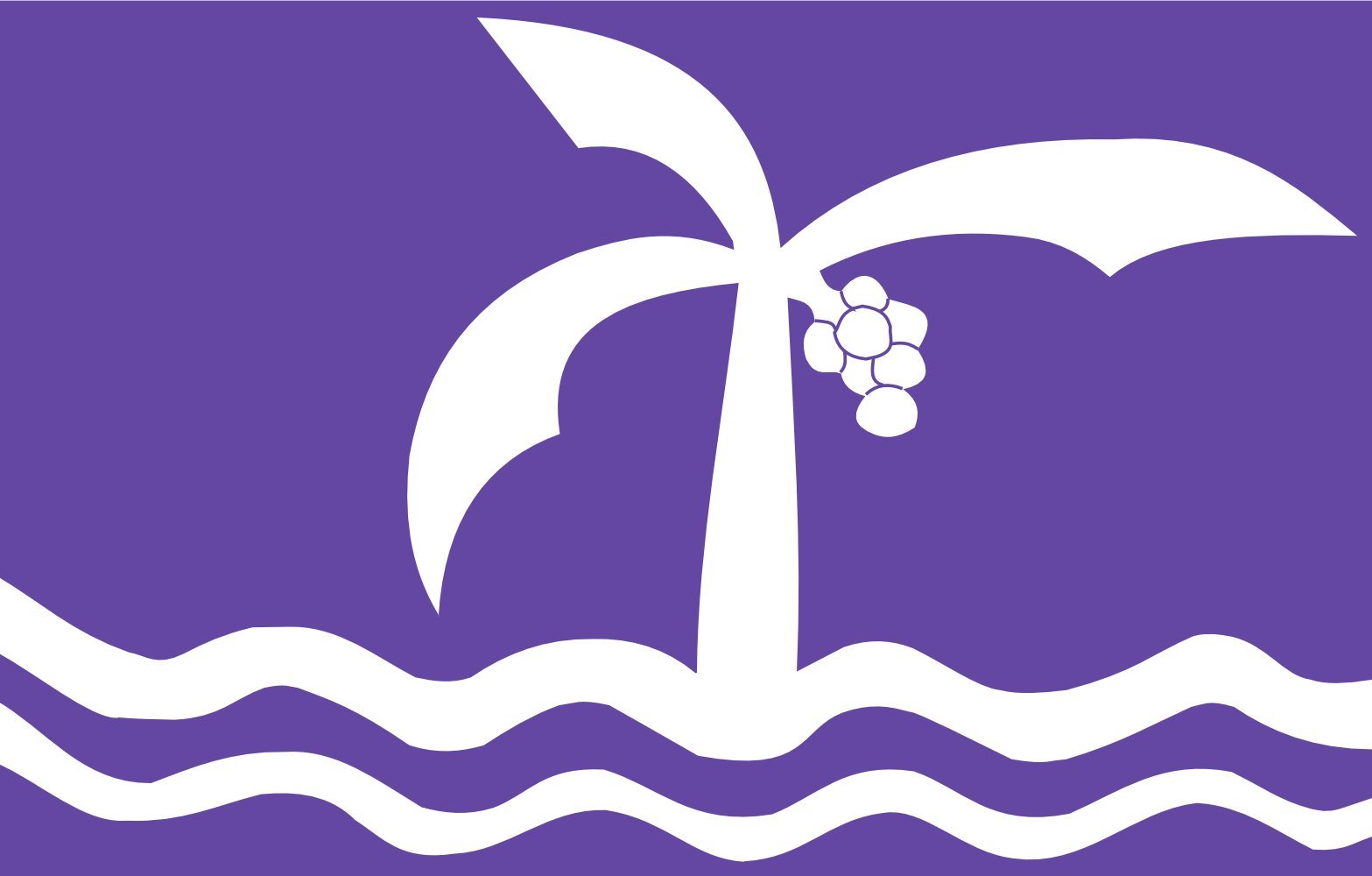 Drapeau Macaé XL format paysage pour mât extérieur