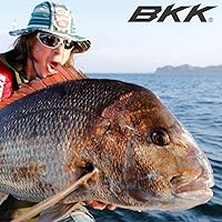 Vista 8 de BKK Hooks A-BP-0147 Pico de pulpo (B-25) Tamaño 2/0# 25 Pack