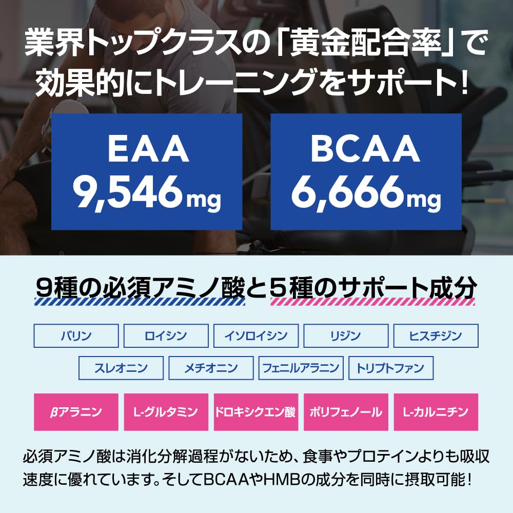 ザプロ EAA パウダー (マンゴー風味) 1kg 国内製造 必須アミノ酸 クエ 武内製薬 THE PROTEIN ザプロ EAA パウダー マンゴー風味 1kg