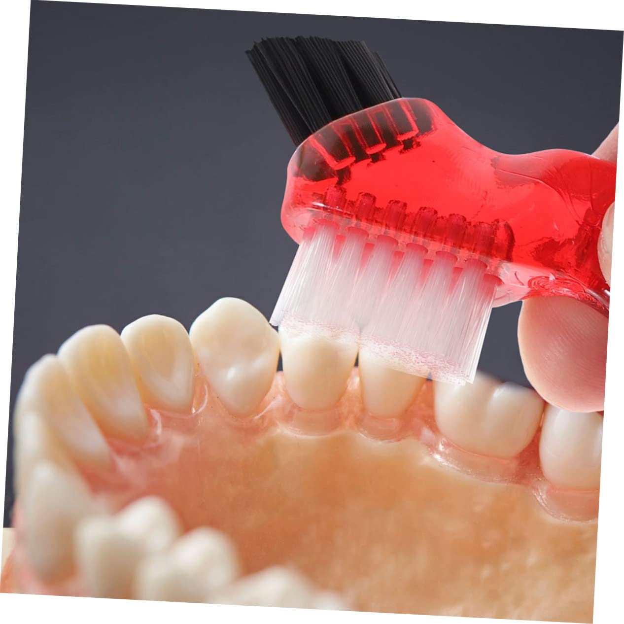 FRCOLOR Spazzolino in Plastico PP Mini 3 Pezzi per Pulizia Dentiera Doppia Faccia Pratico e Resistente e Portatile per Uso Quotidiano