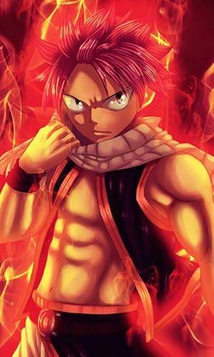 anime nettwork