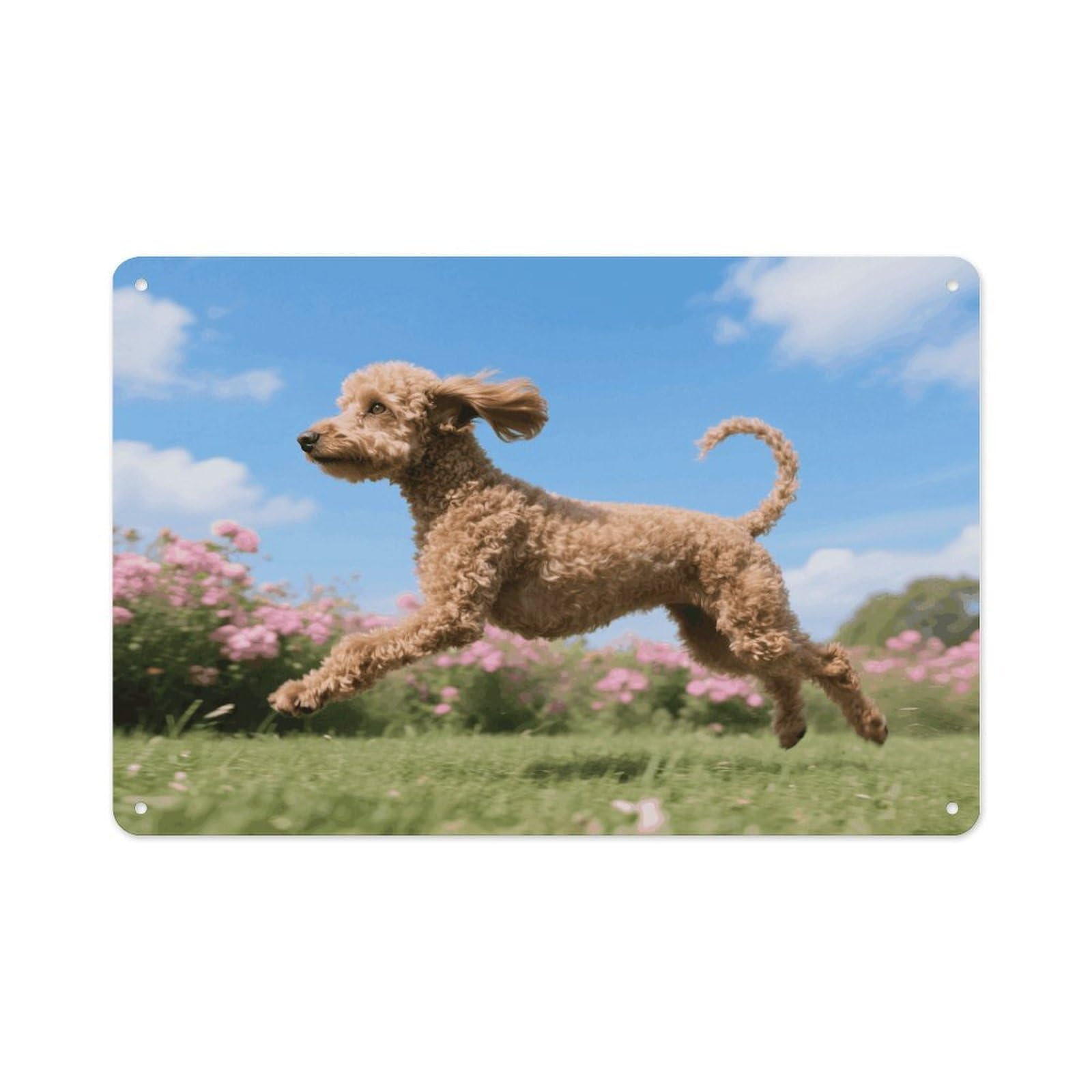 VstaDank Poodles Dog Wall Art Prints Metal Sign Decor Painting Aluminum Wall Hanging Decor Vintage Poster Sublimation Picture Panel Weatherproof Art Decorative Wall Decors