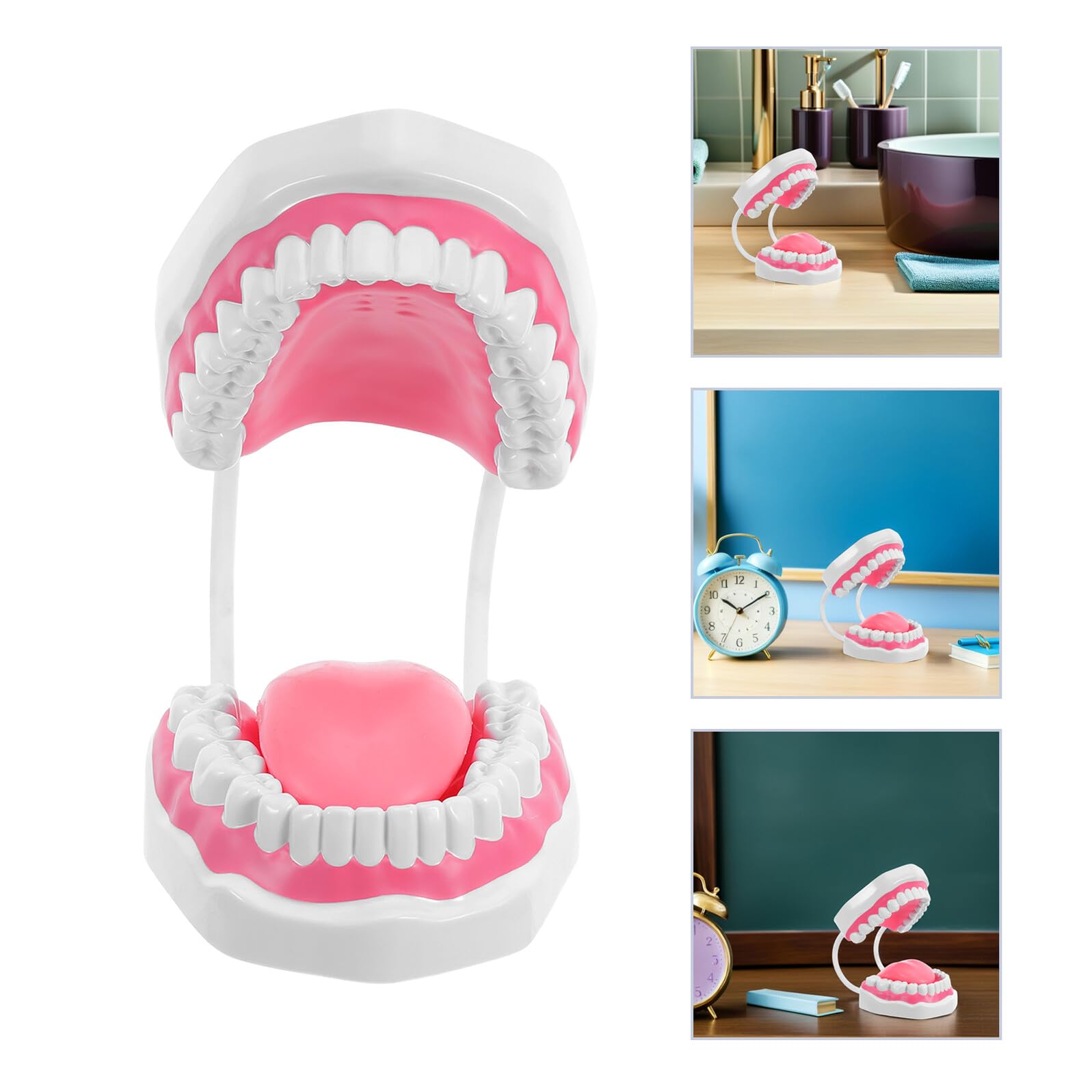 Mikinona Modello Denti Igiene Orale Ingrandito in PVC Durevole per Formazione e Studio Professionale Cura Educativa
