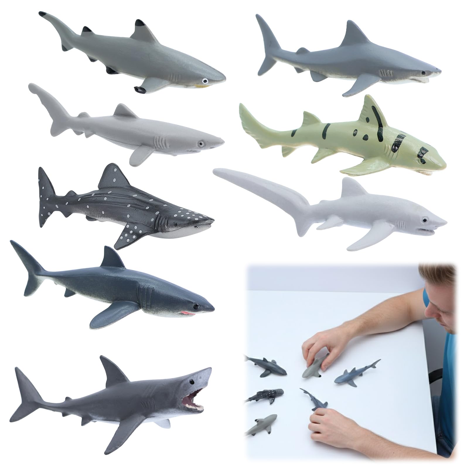 8PCS Shark Model, Shark Figures Miniature Realistic Marine Ornaments Animals Figures Beautiful and Exquisite Practical for Marine Animal Collectors, and Marine Knowledge Education (Shark)