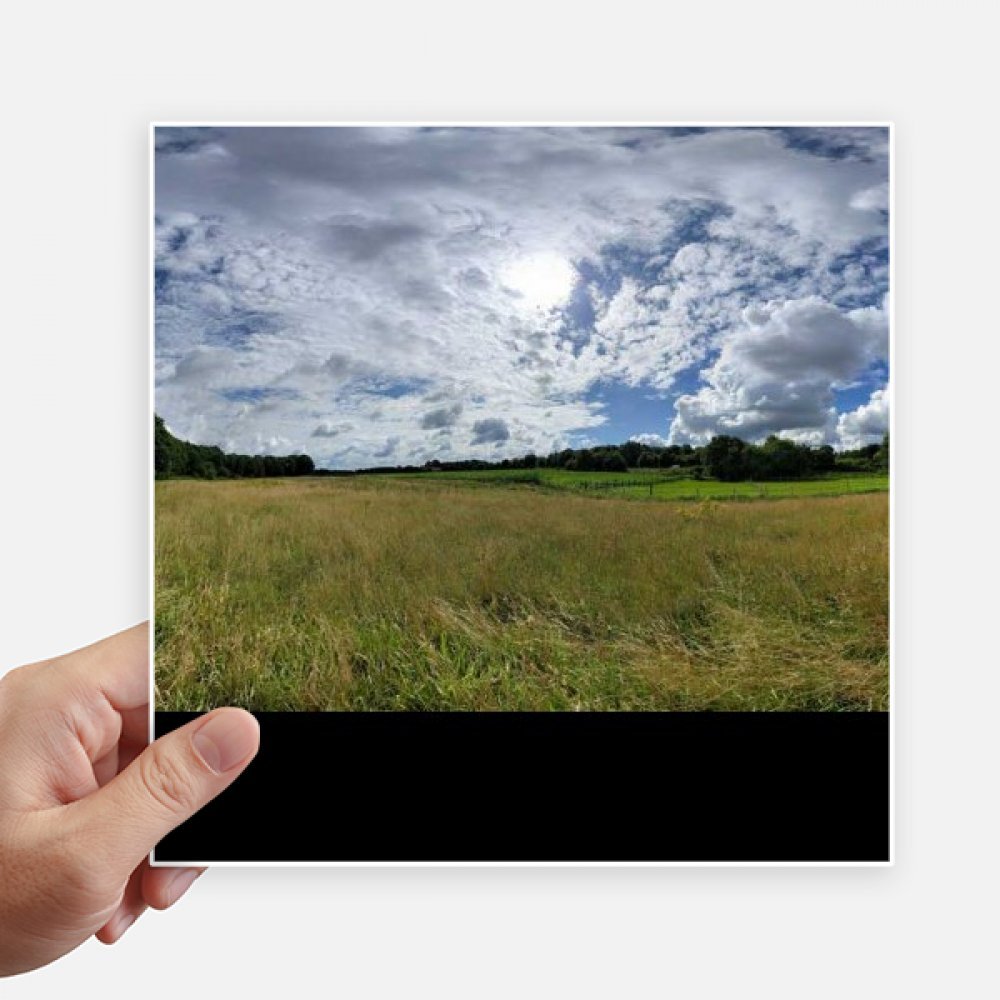 Decal de naturaleza y ciencias forestales para maleta y portátil pack de 4 piezas
