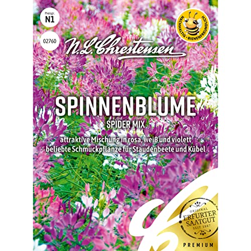Spinnenblume Spider Mix