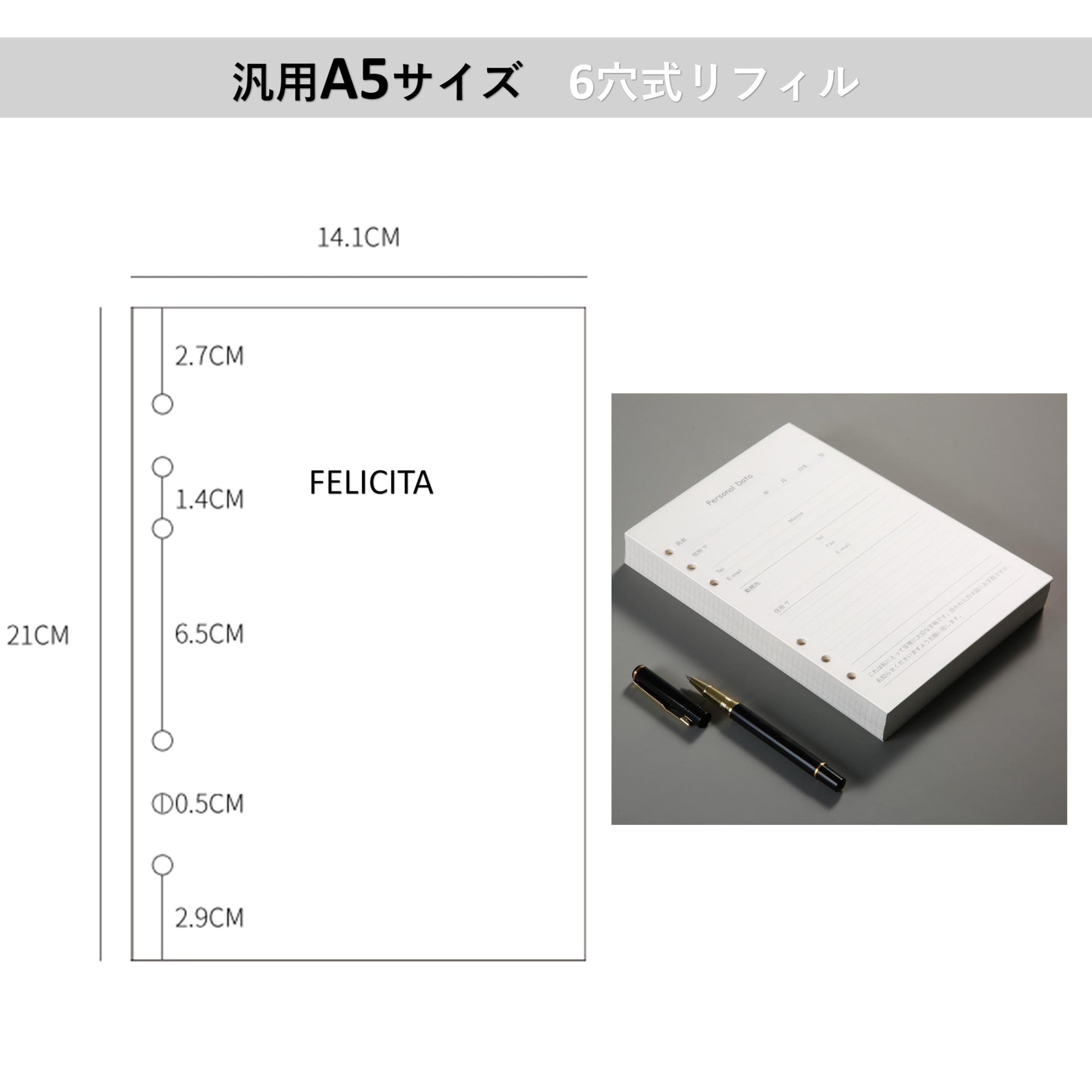 れな→本体とレフィル各2 FILOFAX ファイロファックス システム手帳 リフィル バイブル