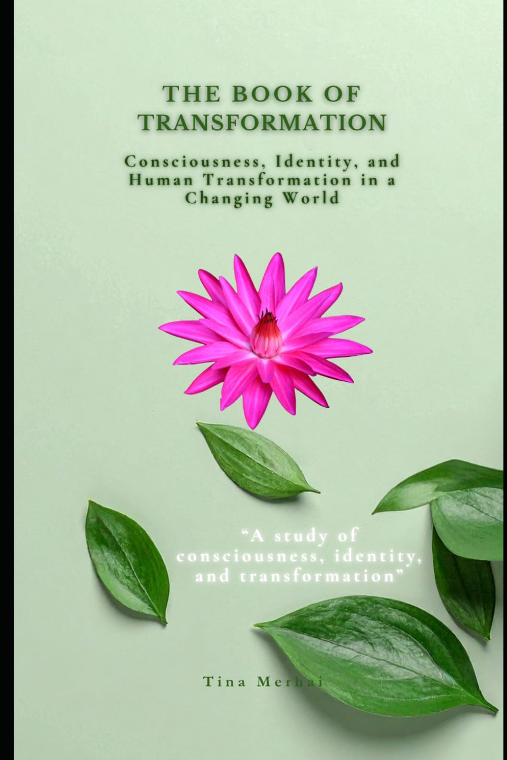 The Book Of Transformation: Consciousness, Identity, and Human Transformation in a Changing World