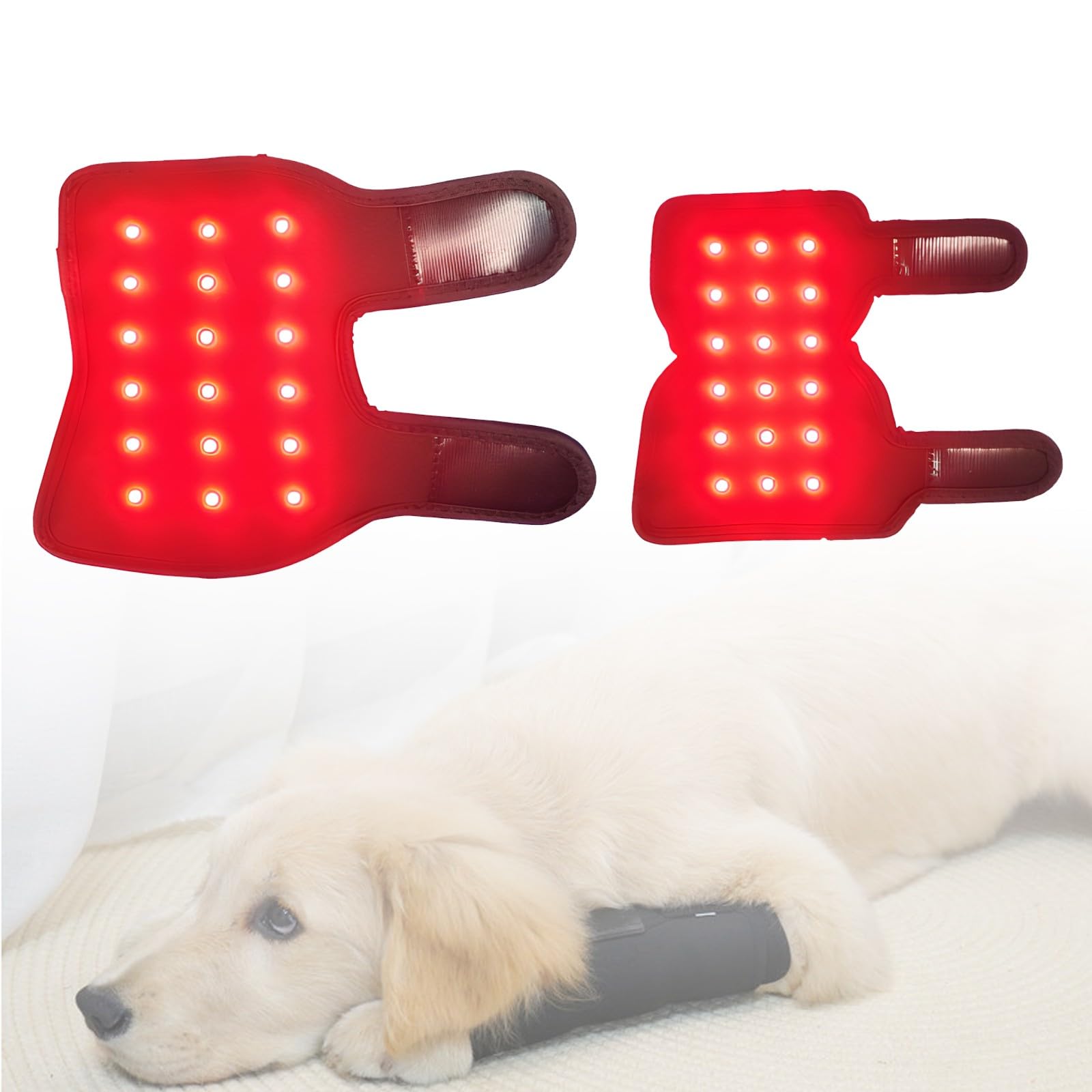 Red Light Therapy Dogs