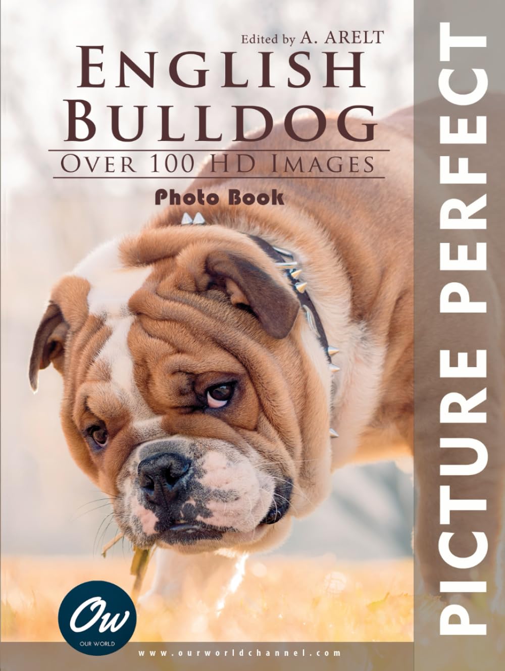 English Bulldog: Picture Perfect Photo Book