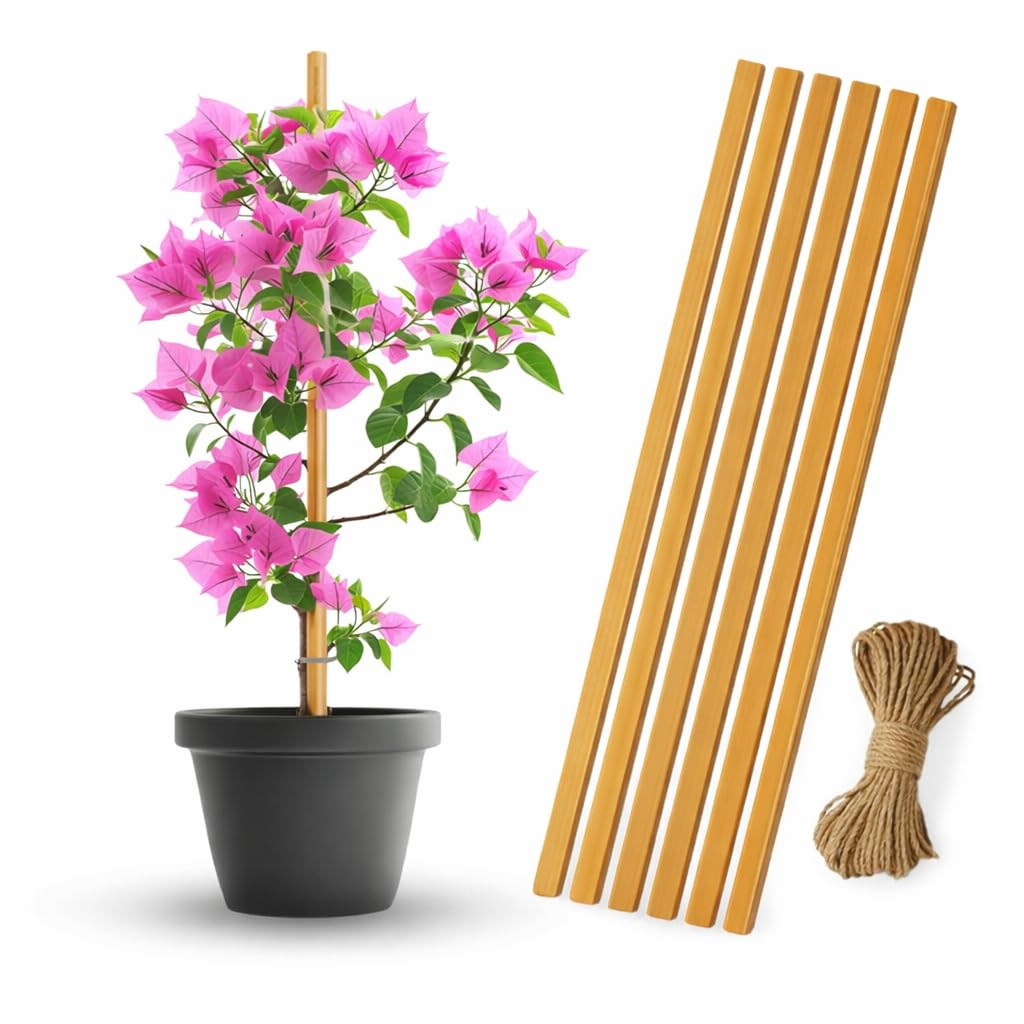 3 feet Premium Natural Teak Wood Plant Support Sticks - Garden Sticks for Straightening Training and Supporting Plants - Strong and Durable Solution for Healthy Growth (12 pcs)-image-12