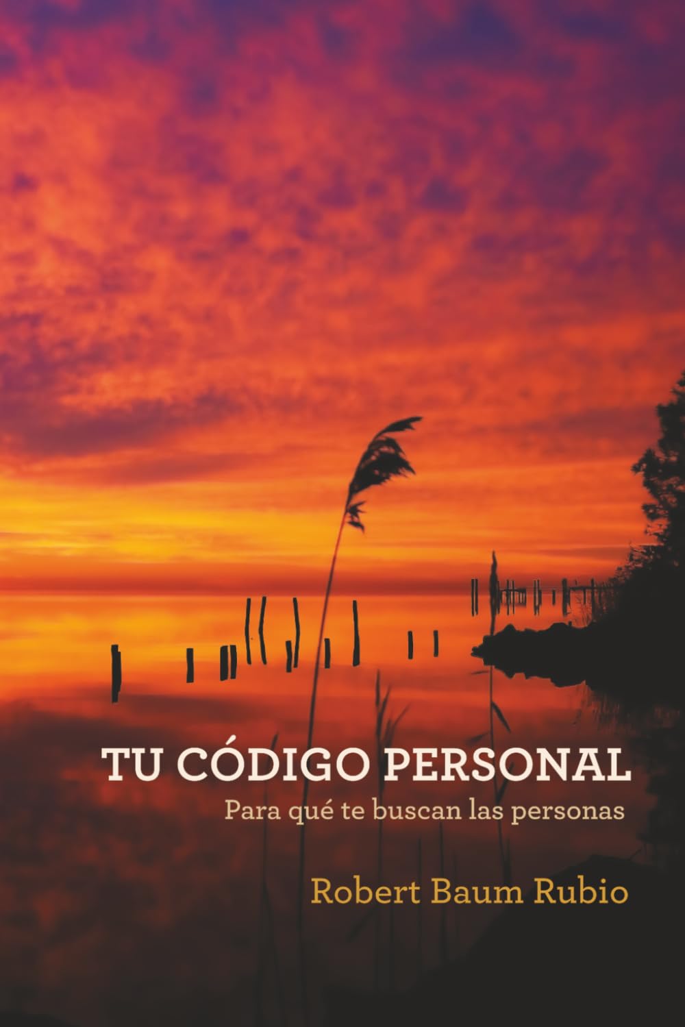 TU CÓDIGO PERSONAL: Para qué te buscan las personas (Trilogía Tu código personal)