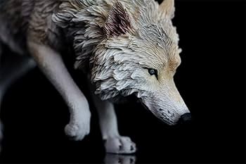 Amazon | 1/6 サイズ コヨーテ オオカミ 狼 ウルフ 動物