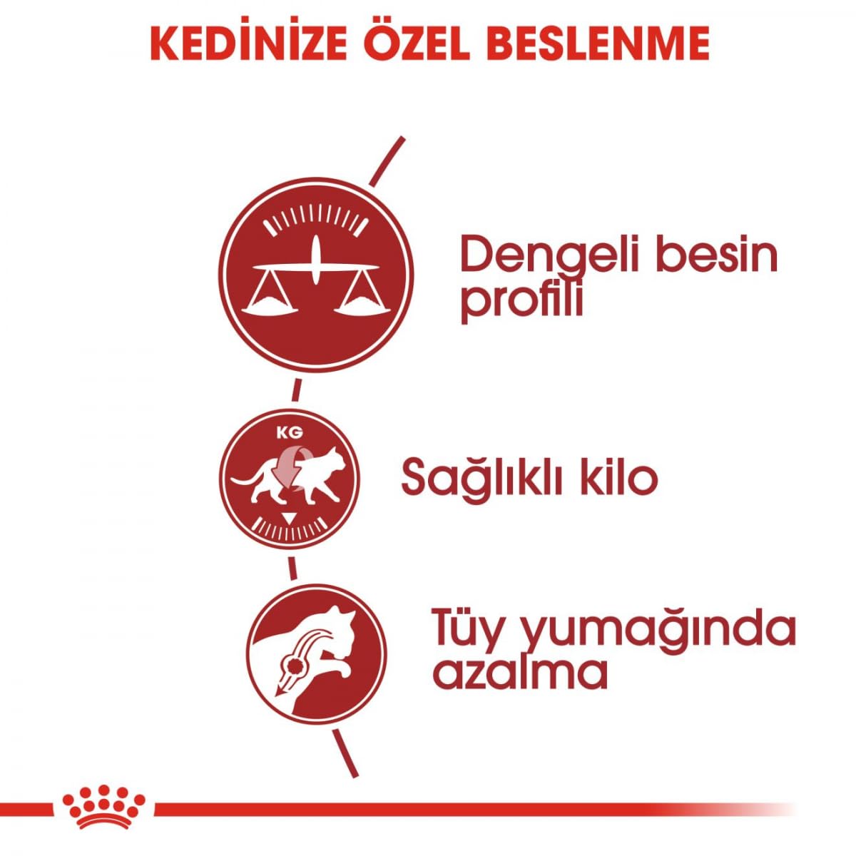 Royal Canin C-58523 Fit - 10 kg