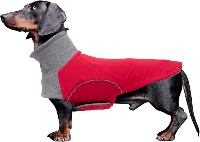 Babepet Abrigo de Invierno para Dachshund, Chaqueta Impermeable en Miniatura, Suéter Con Cuello de Tortuga y Ranura para Arnés, Ropa para Perro Salchicha Pequeño
