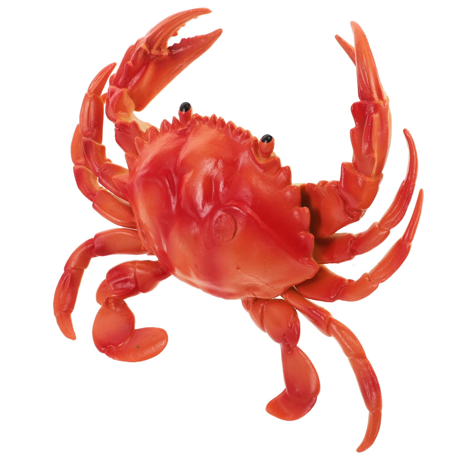 SUPVOX Adorable Realistic Crab Model for Ocean Theme Parties Vibrant Decoration for Gardens Photography Lightweight Vinyl Fake Crab with Fine Craftsmanship Authentic Look