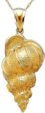 14k Yellow Gold Charm Necklace Pendant with Chain, 2-D Precious Wentletrap Shell