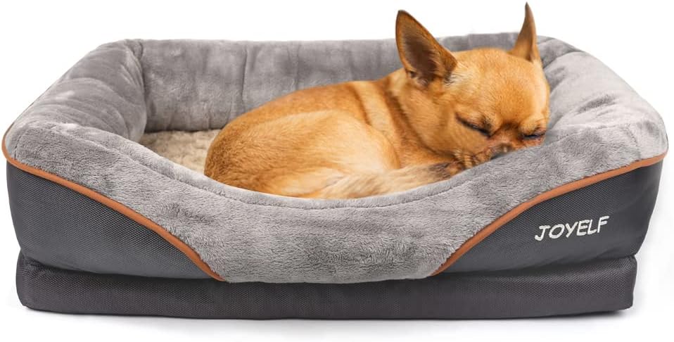 JOYELF Medium Memory Foam Dog Bed, Orthopedic Dog Bed & Sofa with Removable Washable Cover and Squeaker Toys as Gift