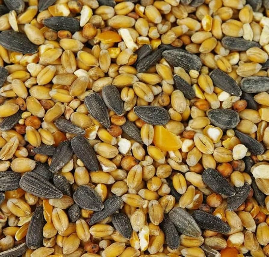 BusyBeaks Four Seasons Wild Bird Seed Mix (2.5KG) - All Year-Round Bird Food With Black Sunflower, Wheat, Small Seeds & Peanuts | High-Energy Feed For Small Garden Birds - 100% Natural Ingredients