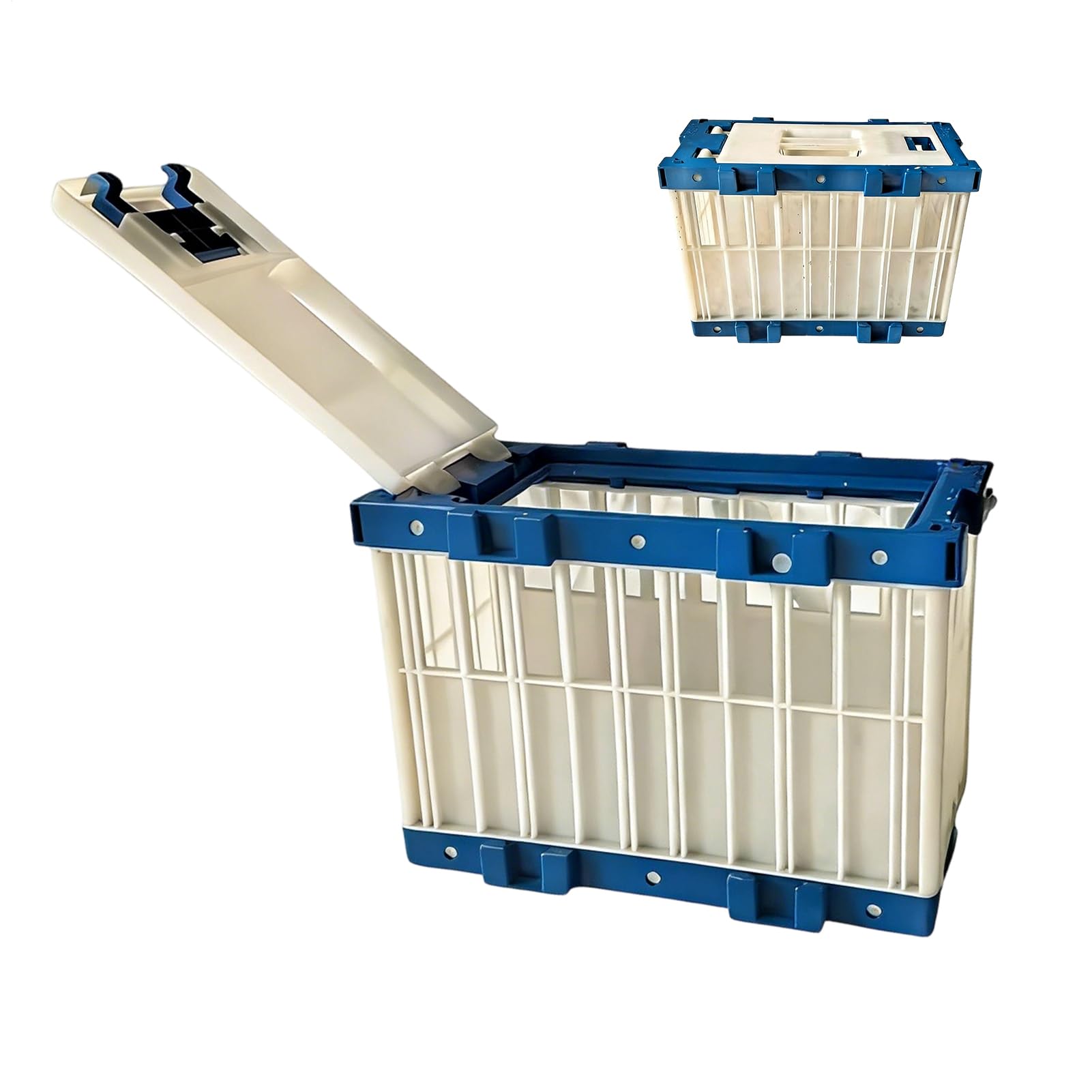 Cage de voyage pour oiseaux compacte et sécurisée pour l'entraînement des cacatoès
