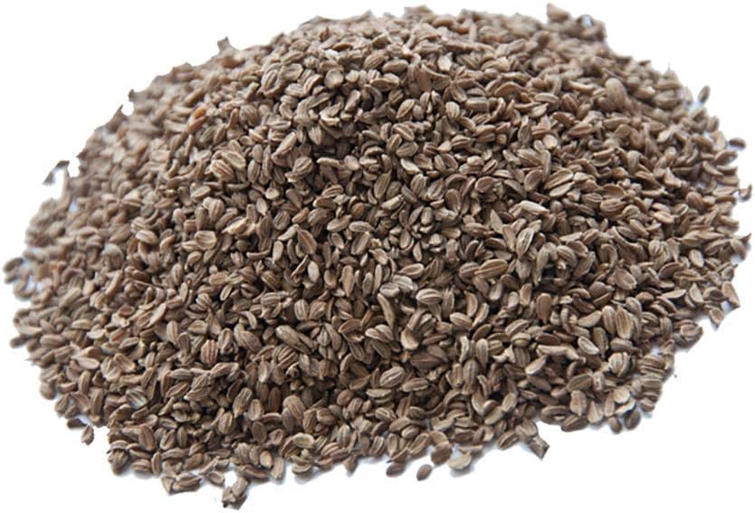 Queen Anne's Lace 500 Seeds Amazon.ca Patio, Lawn & Garden