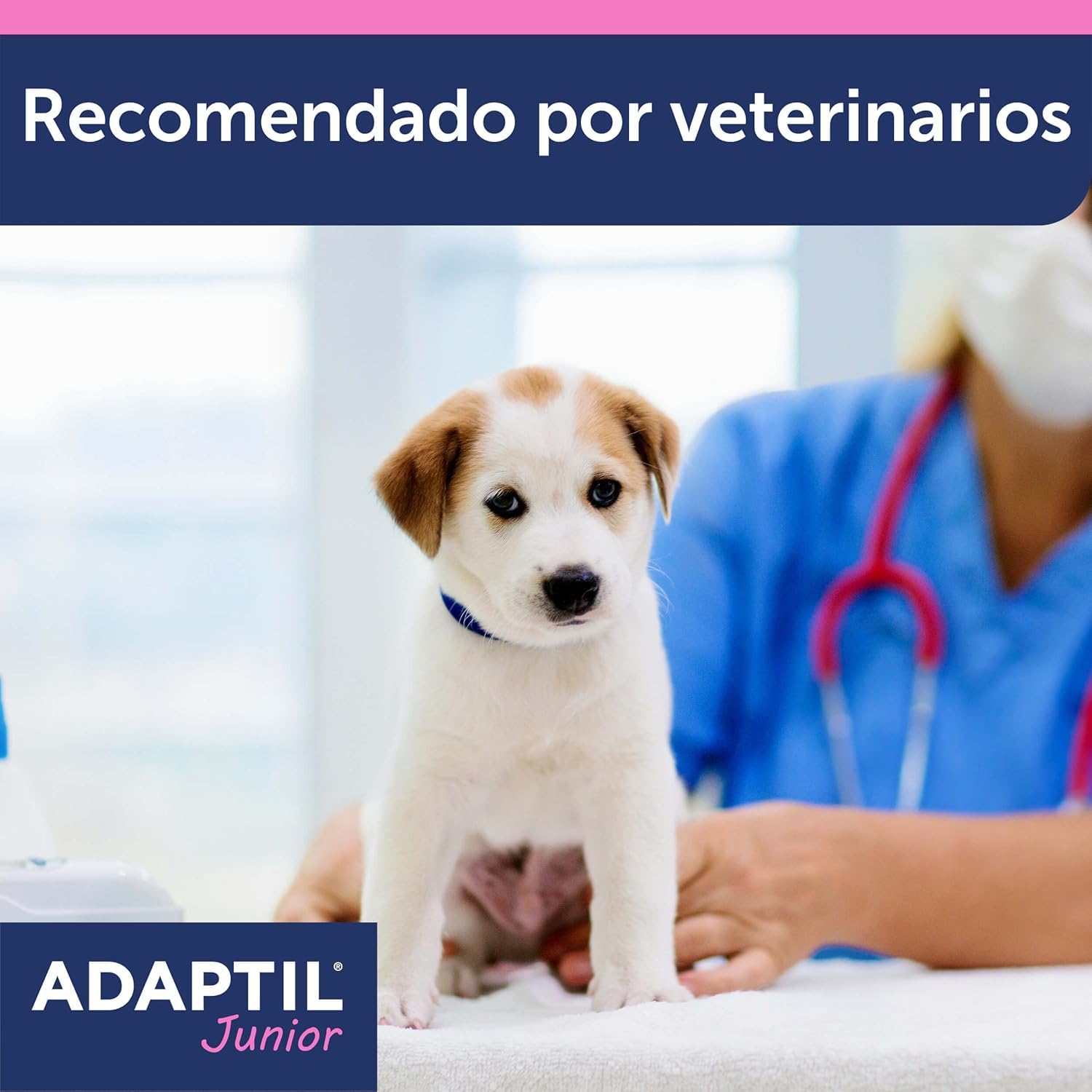 Adaptil Pack Antiestrés para Cachorros - Collar Junior + Spray Transport 60 ml - Calma y Seguridad - Reduce Miedos y Ansiedad - Ideal para Adaptación, Aprendizaje y Viajes