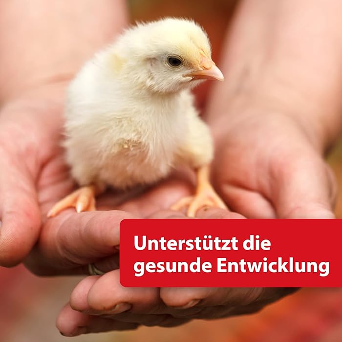 Eiweißfutter für Hühner 2025