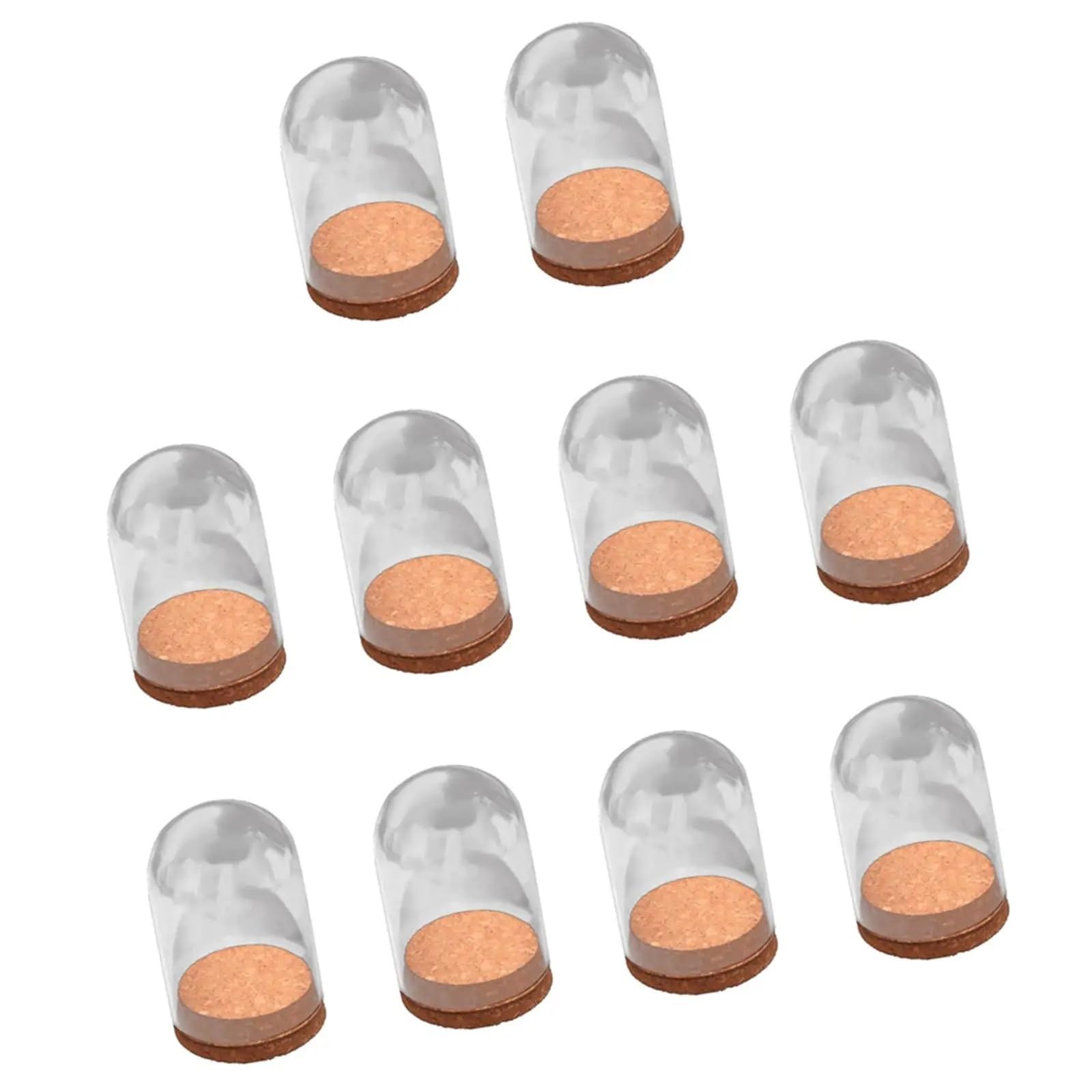 Wyqxty Color 01 Clear Glass Cloche Display Glass Cloche Dome 10 Pcs With Base Tabletop Decor Display Cover