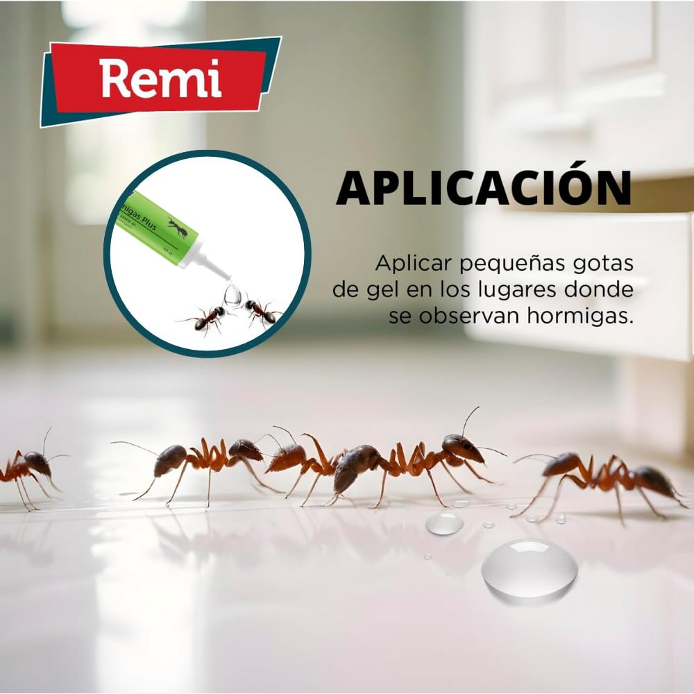 Remi Hogar Gel Hormigas Plus | Gel Insecticida Antihormigas en Jeringa | Cebo Insecticida Listo para Usar | Elimina Hormigas y el Hormiguero | Uso Interior | Alta Eficacia | Uso Doméstico