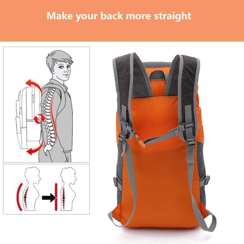 Hiking Backpack Lightweight Water Reasistant Trekking Bag Outdoor Sport Daypack for Climbing Travel Cycling
