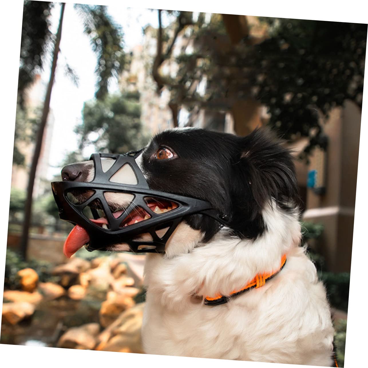 ABOOFAN 3pièces Muselière Ajustable pour Chien Bouche Anti-aboiements Et Morsures Confortable Et Respirante pour Petits Et Moyens Chiens